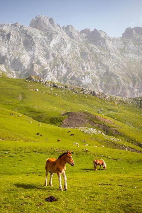 Piso En Picos De Europa - Riano Licencia Vut-Le-818 Daire Dış mekan fotoğraf