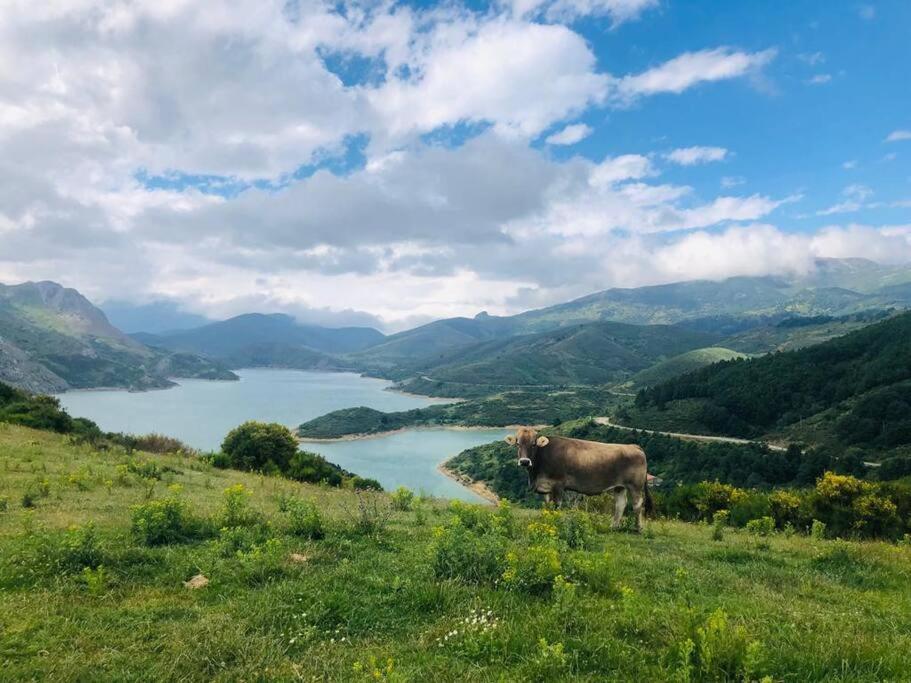 Piso En Picos De Europa - Riano Licencia Vut-Le-818 Daire Dış mekan fotoğraf